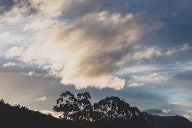 Günbatımı gökyüzü güzel bulutlarla Tazmanya tepelerinde yuvarlanıyor, Avustralya okaliptüs sakız ağaçları siluetleriyle