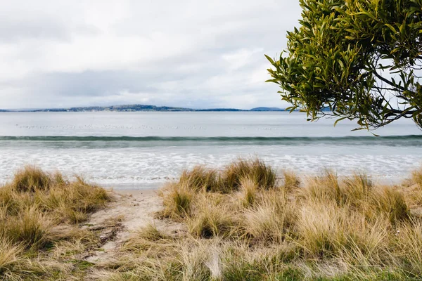 Пляж Південного Гобарту Тасманії Австралія Деревом Травою Березі Хмарним Небом — стокове фото