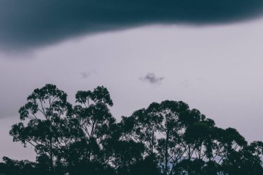 Tazmanya, Avustralya tepeleri üzerinde yuvarlanan güzel bulutlarla alacakaranlık gökyüzü