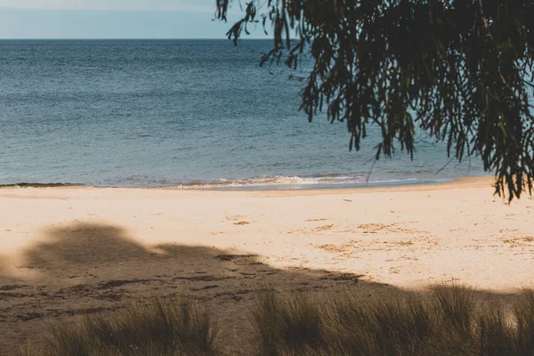 Detalj Vackra Kingston Beach South Hobart Lugn Vinterdag Med Inga — Stockfoto