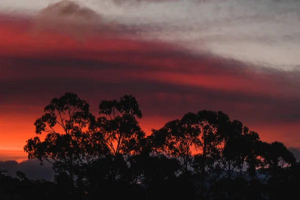 Rosafarbener Und Orangefarbener Himmel Bei Sonnenuntergang Mit Schönen Wolken Die — Stockfoto