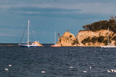 HOBART, TASMANIA - 1 Ağustos 2020: Güney Hobart 'taki Blackmans Körfezi Sahili 