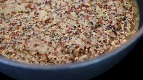 Tricolor Quinoa Kryddat Med Näringsjäst Att Kokas Gryta Spisen Hälsosam — Stockvideo