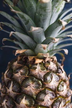 Basit gıda malzemeleri konsepti, koyu mavi arka planda ananasa yakın çekim.