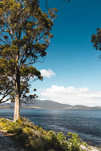 Paesaggio Balneare Incontaminato Verona Sands Tasmania Australia Vicino Peppermint Bay — Foto Stock