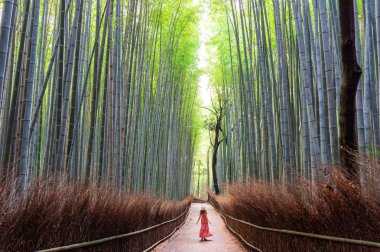 Bambu ormanında, Arashiyama, Japonya yürüyen kadın