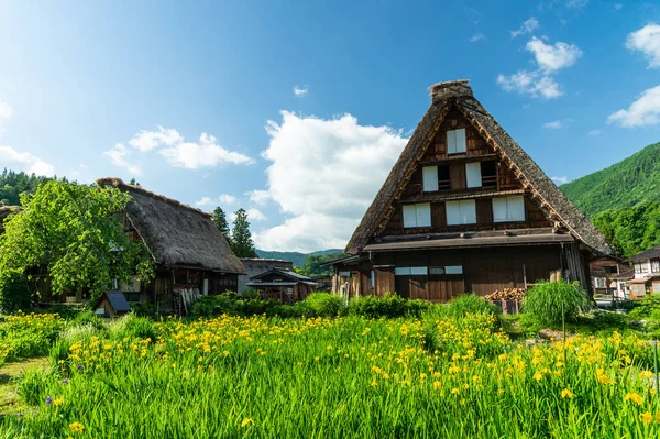 Gasso Houses Shirakawa Japan — Stock Photo, Image