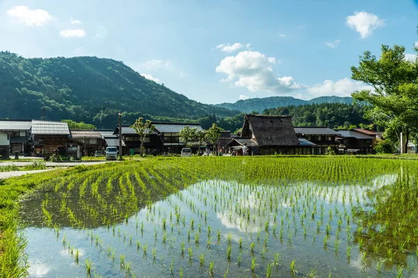 Gasso evleri Shirakawa-go, Japonya