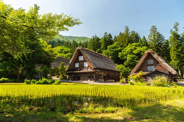 Gasso Houses Shirakawa Japan — Stock Photo, Image