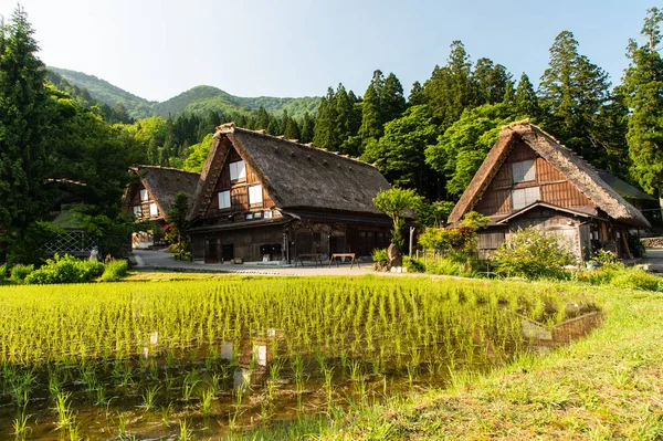 Gasso Häuser Shirakawa Japan lizenzfreie Stockfotos