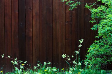 Yeşil çalıları ve kahverengi çitlerin yanındaki ağaçları olan bir arka plan.