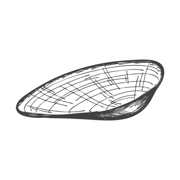 Hand-drawn seashells. An empty, closed, flat, oval solid shell of a mollusc or snail. Sketch style, engraved drawing. Black and white illustration isolated on a white background Stock Illustration