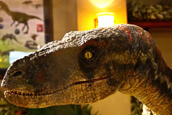 Osaka Japón Abr 2019 Primer Plano Reproducción Escala Dinosaur Velociraptor —  Fotos de Stock