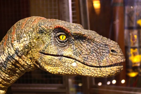 Osaka Japón Abr 2019 Primer Plano Reproducción Escala Dinosaur Velociraptor — Foto de Stock