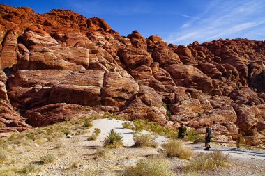 Red Rock Canyon State Park manzaralı çöl uçurumları, popolar ve muhteşem kaya oluşumlarına sahiptir. Park, Sierra Nevada 'nın güney ucunun El Paso Dağları ile birleştiği yerdir..
