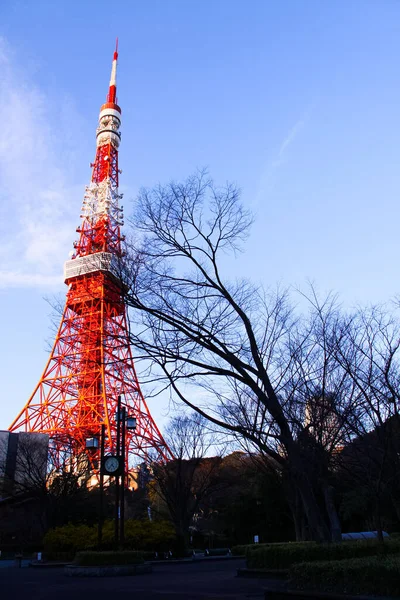 Ujęcie Bliska Tokyo Tower Zrobione Atrakcje Turystyczne Tokio Japonia — Zdjęcie stockowe