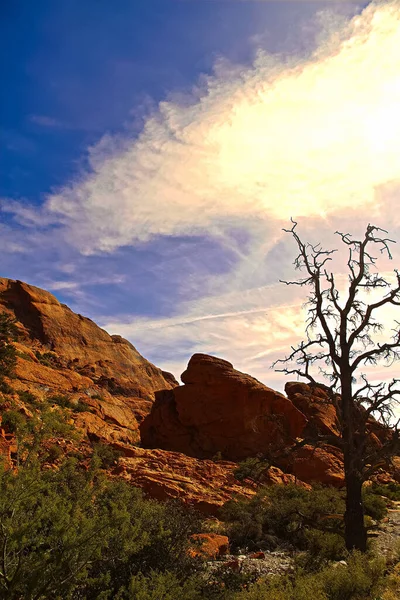 Red Rock Canyon State Park features scenic desert cliffs, buttes and spectacular rock formations. The park is located where the southern tip of the Sierra Nevada converges with the El Paso Mountains.