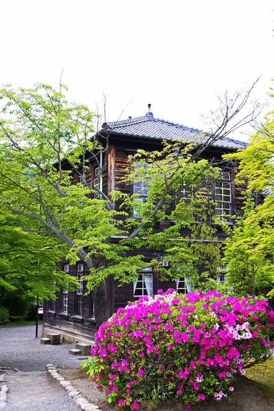 Japansk Stil Gammalt Hus Arkitektur Landskap Gammal Japansk Arkitektur Och — Stockfoto