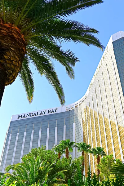 Las Vegas États Unis Octobre 2016 Mandalay Bay Las Vegas — Photo