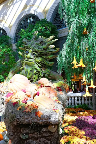 Las Vegas Oct Temporada Otoño Bellagio Hotel Conservatory Botanical Gardens —  Fotos de Stock