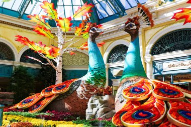 LAS VEGAS, ABD - OCT 08: Sonbahar sezonu Bellagio Hotel Konservatuarı ve Botanik Bahçeleri 'nde 8 Ekim 2017, Las Vegas. Konservatuarın her yıl geçirdiği beş mevsimlik tema vardır..