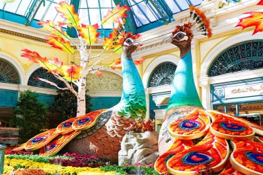 LAS VEGAS, ABD - OCT 08: Sonbahar sezonu Bellagio Hotel Konservatuarı ve Botanik Bahçeleri 'nde 8 Ekim 2017, Las Vegas. Konservatuarın her yıl geçirdiği beş mevsimlik tema vardır..