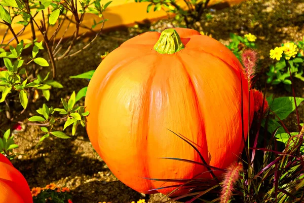 Automne Citrouille Thanksgiving Background Autumn Sculpture Pumpkin Bunch Citrouille Dans — Photo