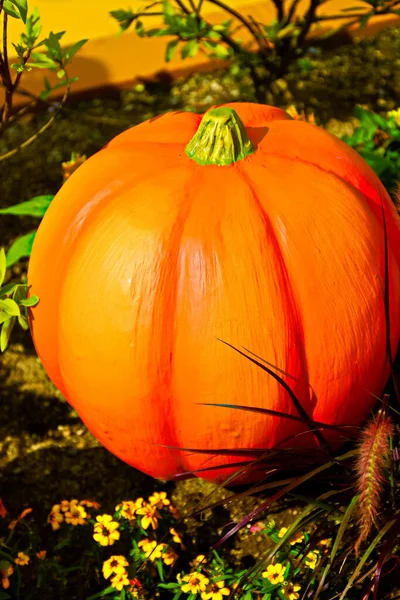 Automne Citrouille Thanksgiving Background Autumn Sculpture Pumpkin Bunch Citrouille Dans — Photo