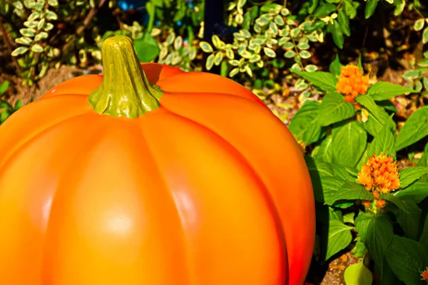 Automne Citrouille Thanksgiving Background Autumn Sculpture Pumpkin Bunch Citrouille Dans — Photo