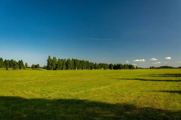 Endless summer countryside fields and blue sky