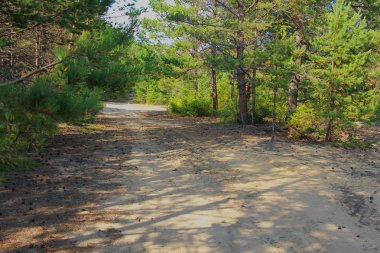 Baykal Gölü 'nde güzel manzaralar var.