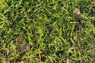 Yaratıcılığın için ilginç dokular.