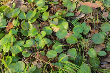 Yaratıcılığın için ilginç dokular.