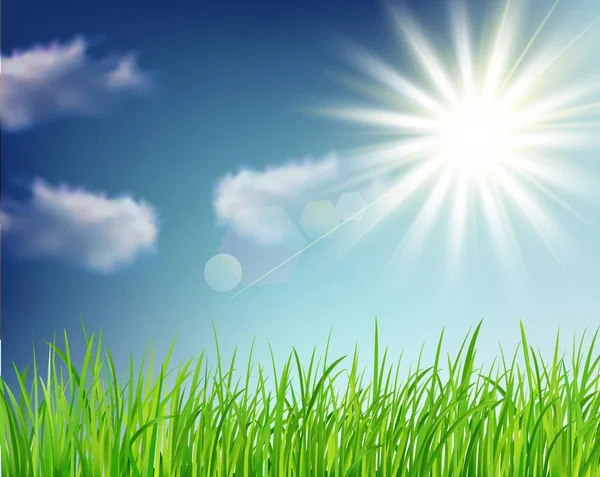 太陽と背景の緑し草 春背景 ベクトルのベクトルします ベクトル太陽と草と日当たりの良い自然 — ストックベクタ