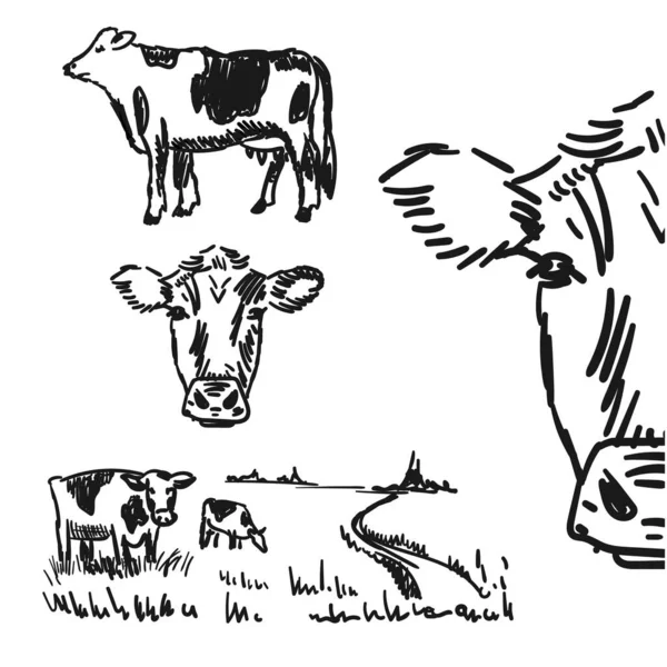 Cows Vector Illustration Landscape — Stock Vector