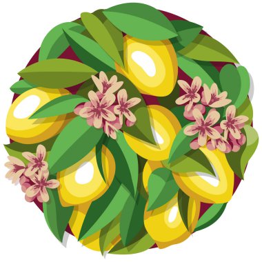 Limonlar, çiçekler ve bir limon ağacının yaprakları