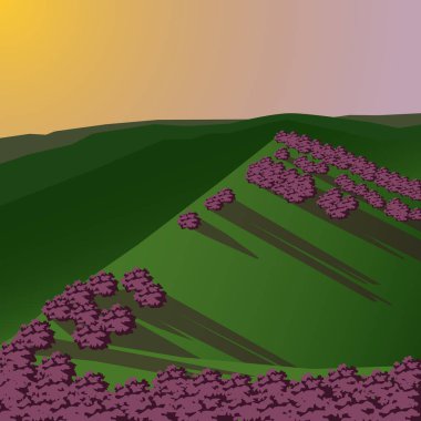 Gün batımının arka planında çiçek açan çalıların olduğu tepelerin resmi