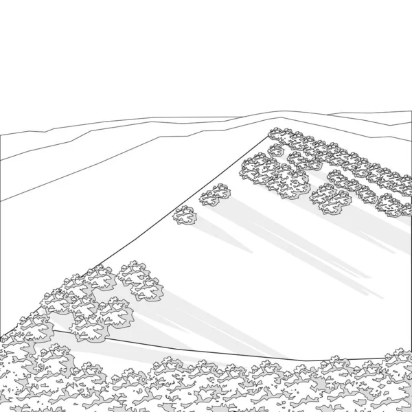 Coloriage Des Collines Avec Des Arbustes Fleurs — Image vectorielle