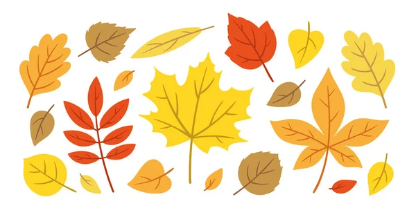 Ensemble de feuilles d'automne colorées. Illustrations vectorielles — Image vectorielle