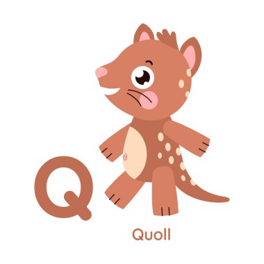Sevimli hayvan alfabesi. Q harfi. Karakter çizimi. Seri A-Z.