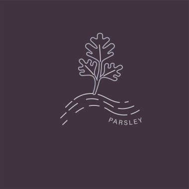 Vektör simgesi ve baharat ve otlar için logo