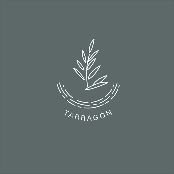 Ícone de vetor e logotipo para especiarias e ervas — Vetor de Stock