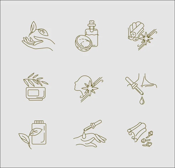 Icono vectorial y logotipo para aromaterapia. Carrera de contorno editable — Archivo Imágenes Vectoriales