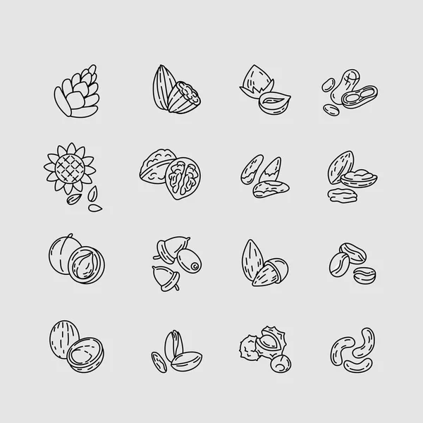 Vektorové ikony a loga pro semena a ořechy. Upravitelné obrysy tahu — Stockový vektor