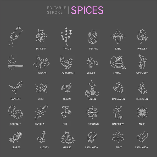 Vektor ikon és logó a fűszerek és fűszernövények — Stock Vector