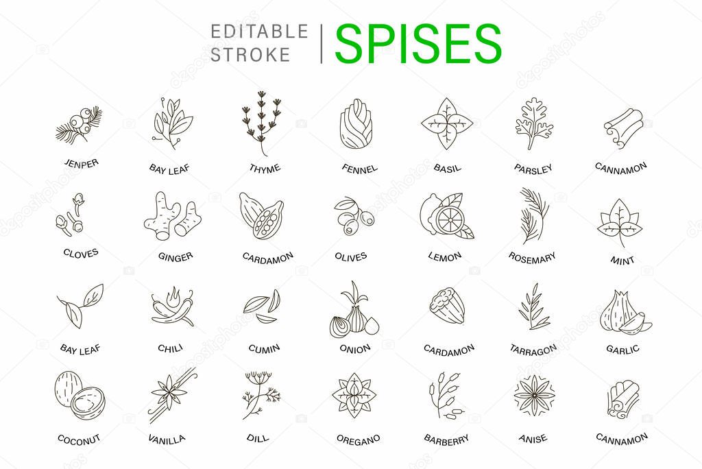 Vector icon and logo for spices and herbs. Editable outline stroke size. Line flat contour, thin and linear design. Simple icons. Concept illustration