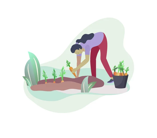 Harvesting and gardening people doing farming and garden job, pick berries, remove weeds, watering, planting, growing and transplant sprouts, lay ripe vegetables to box. Reaping crop — Stock Vector