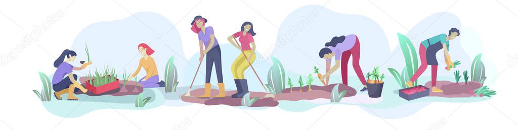 Harvesting and gardening people doing farming and garden job, pick berries, remove weeds, watering, planting, growing and transplant sprouts, lay ripe vegetables to box. Reaping crop
