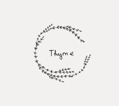 Elle çizilmiş kümesi mutfak ot. Fesleğen ve nane, biberiye ve adaçayı, kekik ve maydanoz. Gıda tasarım logo