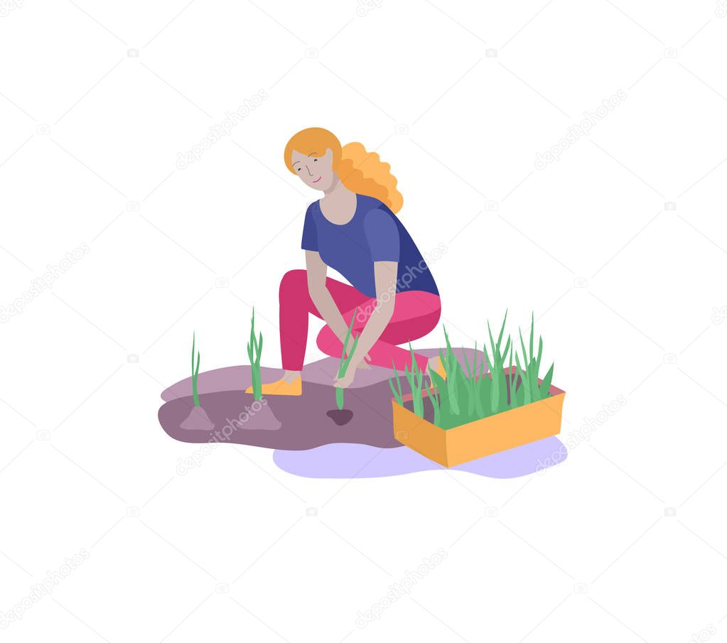 Harvesting and gardening people doing farming and garden job, pick berries, remove weeds, watering, planting, growing and transplant sprouts, lay ripe vegetables to box. Reaping crop